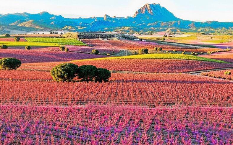 servicio profesional de fontaneros en Cieza