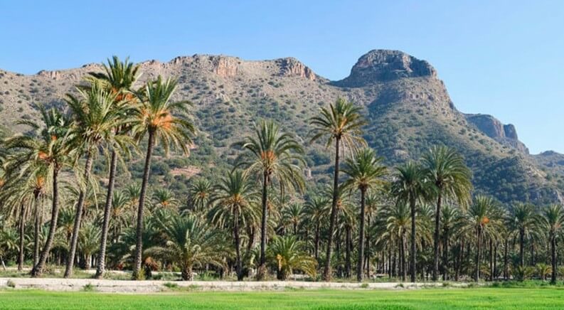 servicio profesional de fontaneros en Orihuela