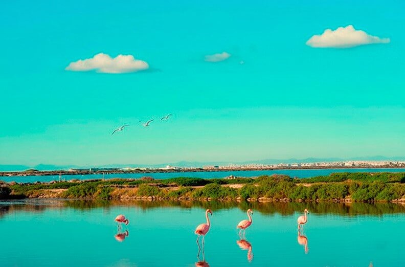 servicio profesional de fontaneros en San Pedro del Pinatar